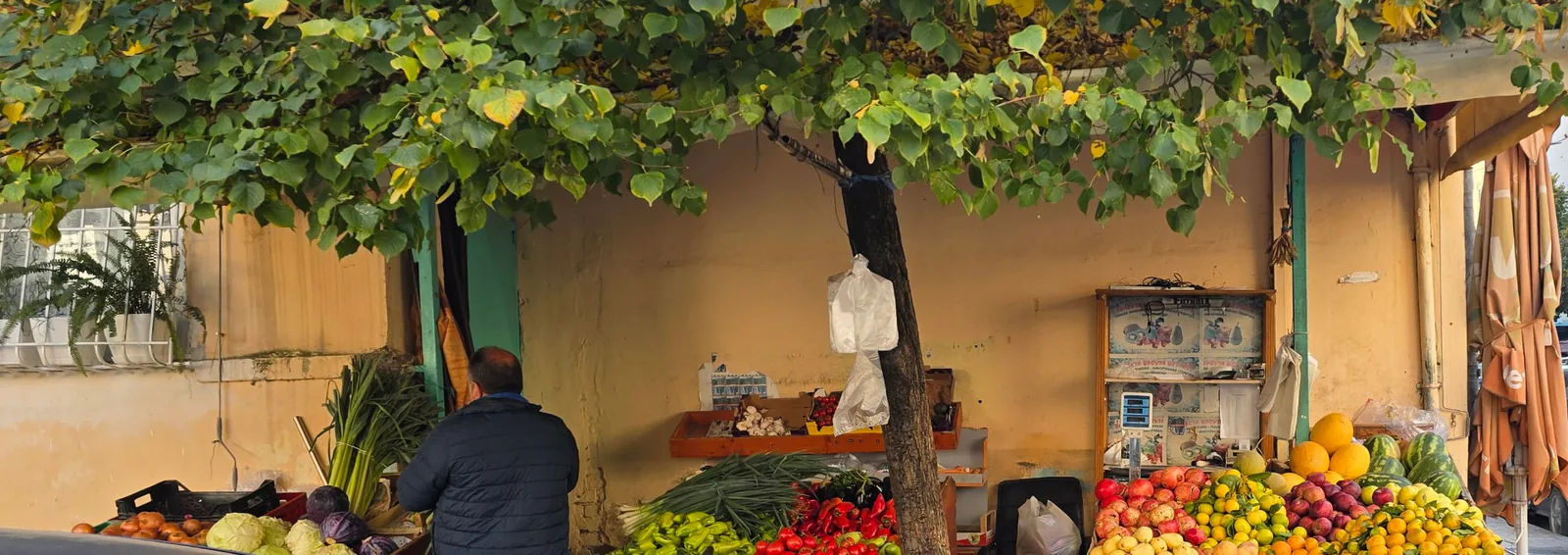 A street market stall in Albania piled with pomegranates, citrus, peppers and melons under a vine