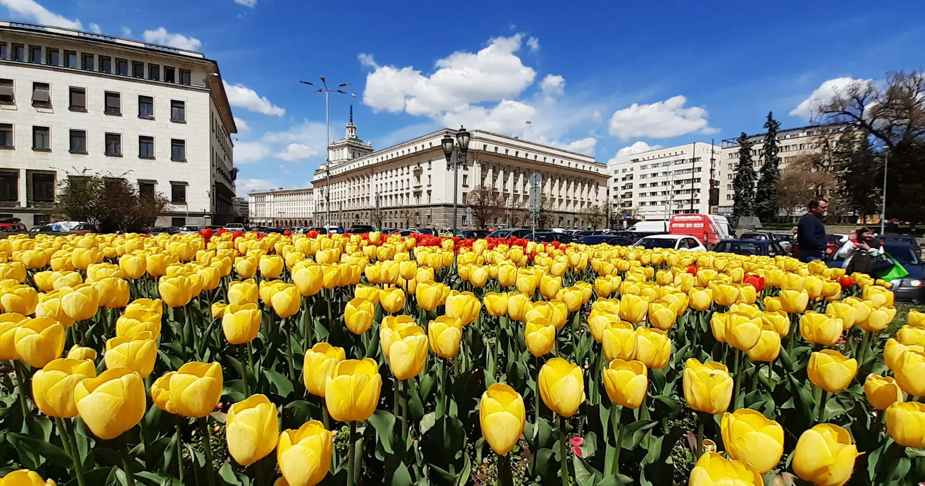 Tulips in bloom in front of the former Communist Party House in central Sofia, Bulgaria
