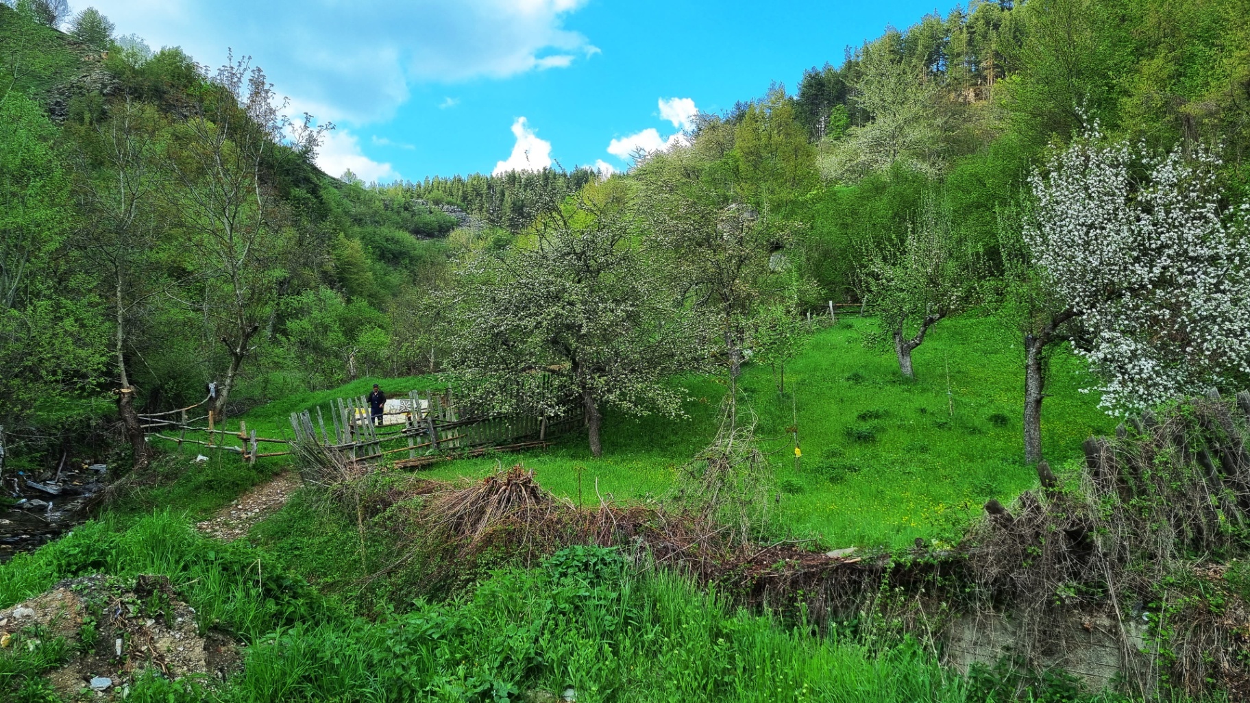 Rhodope Mountain